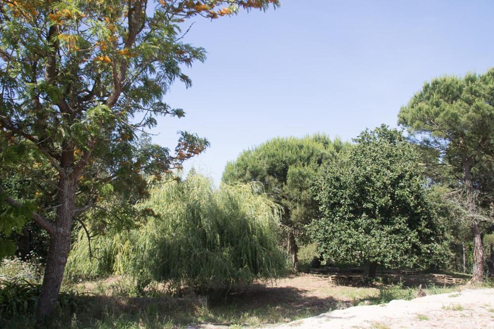 劳林哈Quinta Da Galeana Dreaming住宿加早餐旅馆 外观 照片
