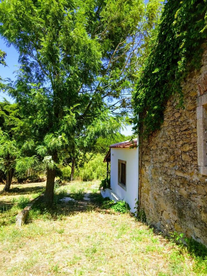 劳林哈Quinta Da Galeana Dreaming住宿加早餐旅馆 外观 照片